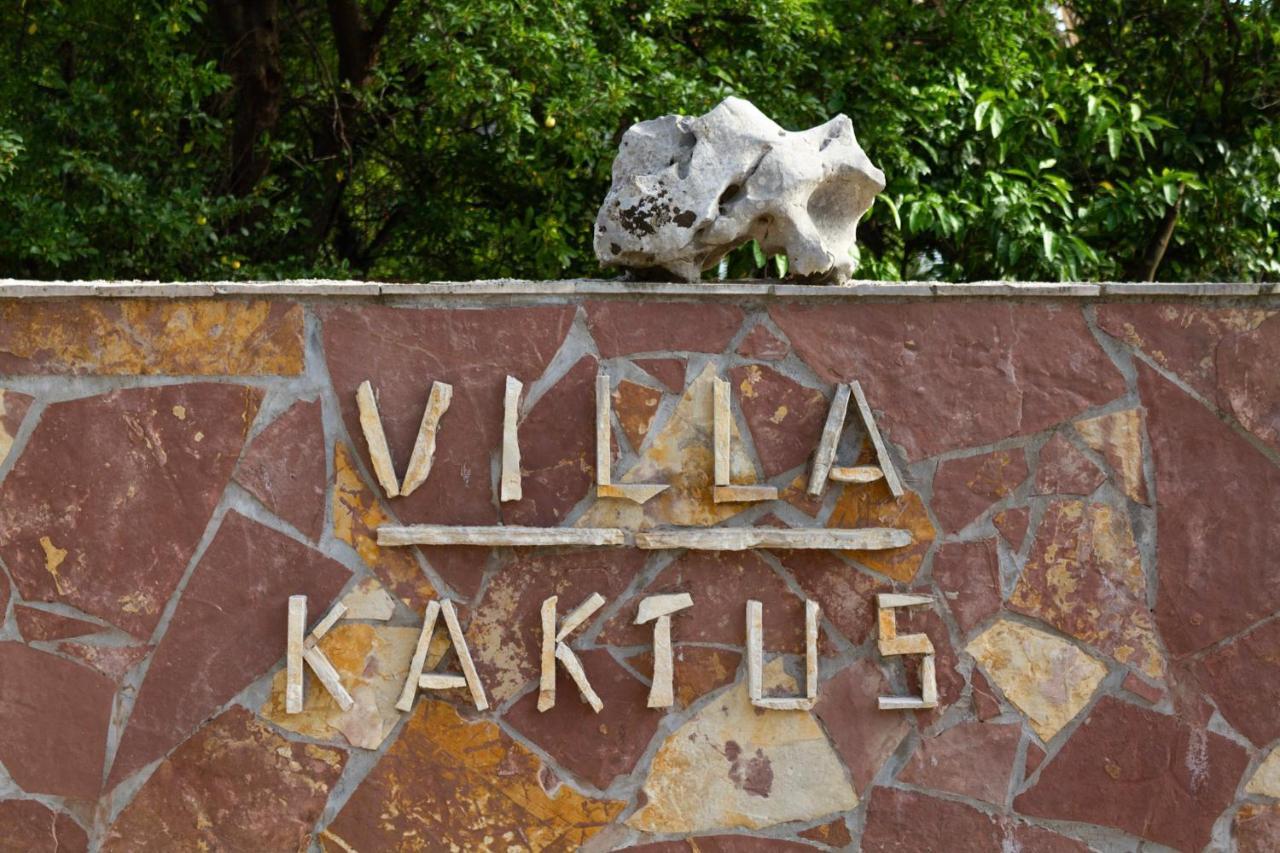 Apartments Kaktus أوروبيتش المظهر الخارجي الصورة