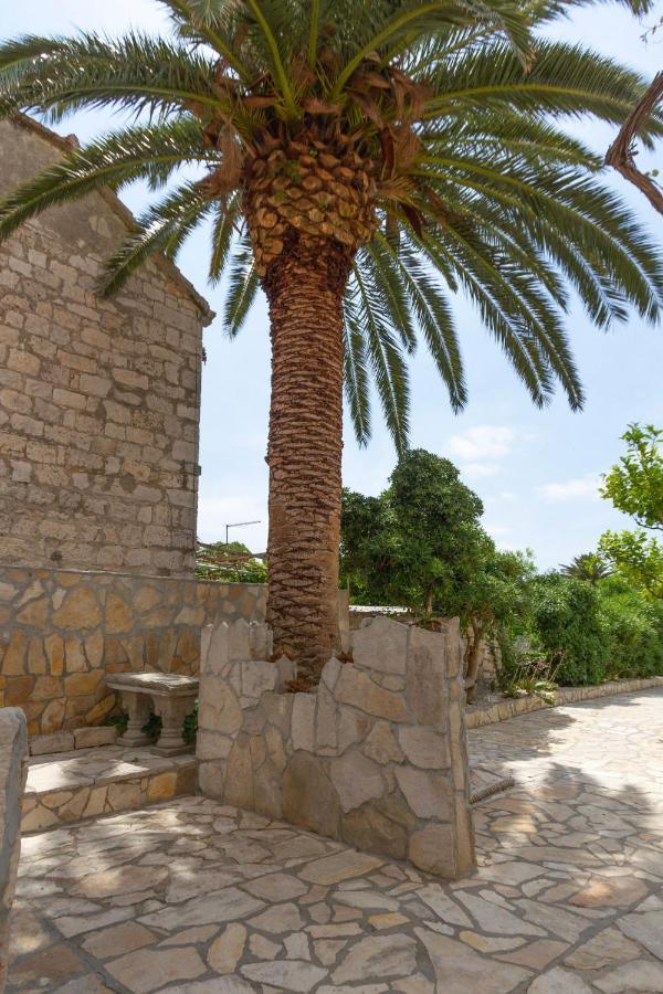 Apartments Kaktus أوروبيتش المظهر الخارجي الصورة