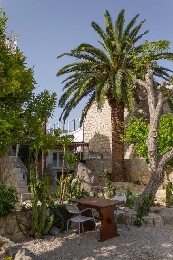 Apartments Kaktus أوروبيتش المظهر الخارجي الصورة
